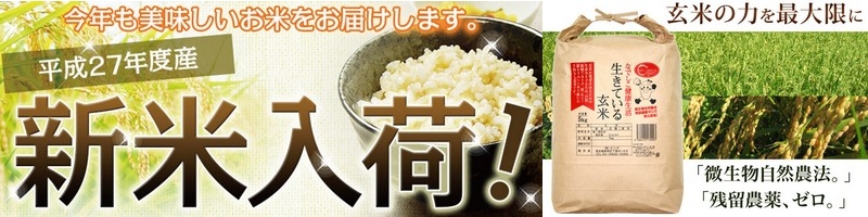 ����y�f�̐����Ă��錺�ď��T�C�g